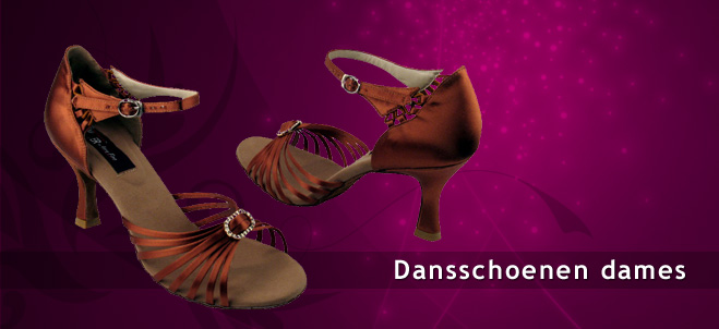 Dancing shoes ladies  for standard dance, salsa, tango, ballroom, latin, danssneakers on Spins.be