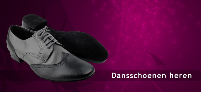 Dansschoenen heren voor stijldans salsa tango ballroom latin danssneakers  via Spins.be